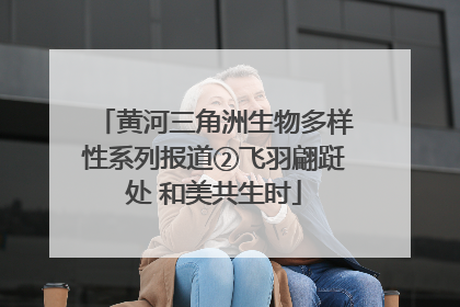 黄河三角洲生物多样性系列报道②飞羽翩跹处 和美共生时