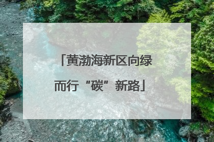 黄渤海新区向绿而行“碳”新路