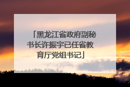 黑龙江省政府副秘书长许振宇已任省教育厅党组书记