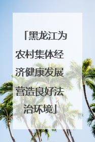 黑龙江为农村集体经济健康发展营造良好法治环境