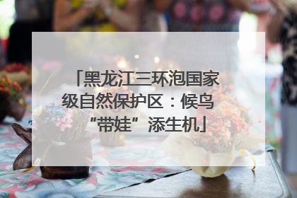 黑龙江三环泡国家级自然保护区：候鸟“带娃”添生机