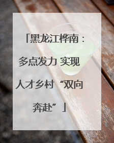黑龙江桦南：多点发力 实现人才乡村“双向奔赴”