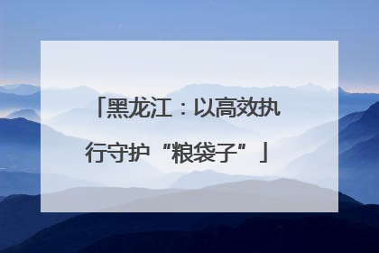 黑龙江：以高效执行守护“粮袋子”
