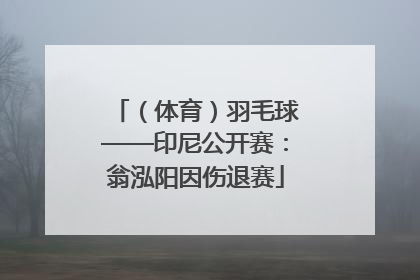 （体育）羽毛球——印尼公开赛：翁泓阳因伤退赛