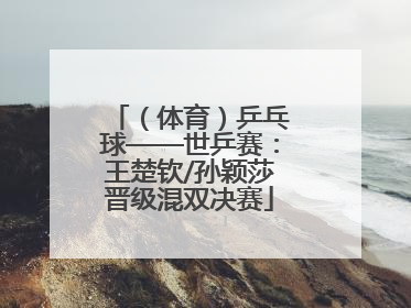 （体育）乒乓球——世乒赛：王楚钦/孙颖莎晋级混双决赛