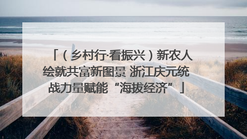 （乡村行·看振兴）新农人绘就共富新图景 浙江庆元统战力量赋能“海拔经济”