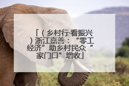 （乡村行·看振兴）浙江嘉善：“零工经济”助乡村民众“家门口”增收