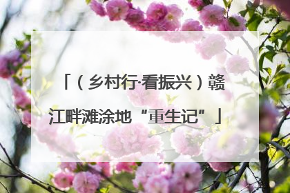 （乡村行·看振兴）赣江畔滩涂地“重生记”