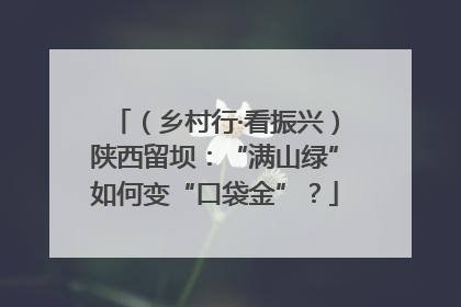 （乡村行·看振兴）陕西留坝：“满山绿”如何变“口袋金”？