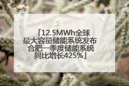 12.5MWh全球最大容量储能系统发布 合肥一季度储能系统同比增长425%
