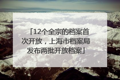 12个全宗的档案首次开放，上海市档案局发布两批开放档案