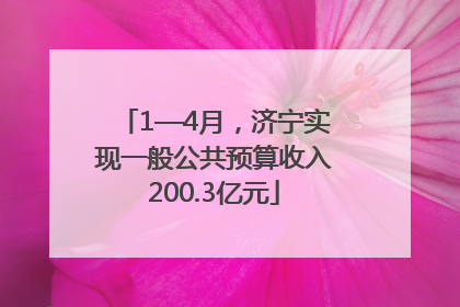 1—4月，济宁实现一般公共预算收入200.3亿元