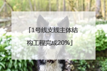 1号线支线主体结构工程完成20%