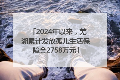 2024年以来，芜湖累计发放孤儿生活保障金2758万元