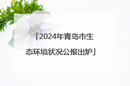 2024年青岛市生态环境状况公报出炉