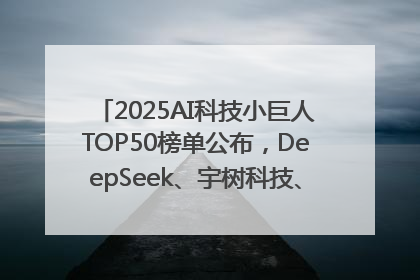 2025AI科技小巨人TOP50榜单公布，DeepSeek、宇树科技、蘑菇车联等企业荣誉上榜