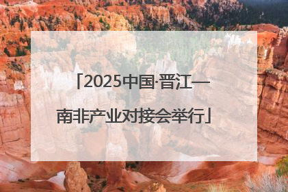 2025中国·晋江—南非产业对接会举行