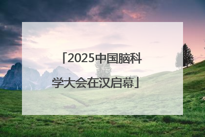 2025中国脑科学大会在汉启幕