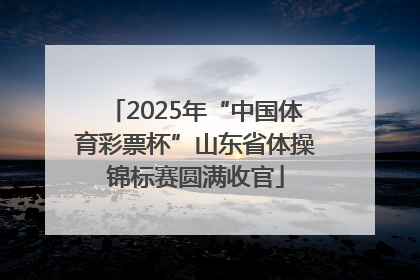 2025年“中国体育彩票杯”山东省体操锦标赛圆满收官