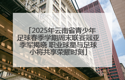 2025年云南省青少年足球春季学期周末联赛冠亚季军揭晓 职业球星与足球小将共享荣耀时刻