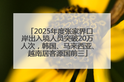 2025年度张家界口岸出入境人员突破20万人次，韩国、马来西亚、越南居客源国前三