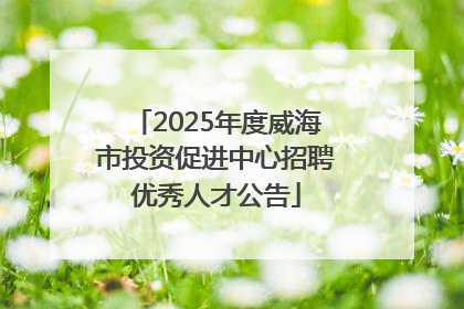 2025年度威海市投资促进中心招聘优秀人才公告