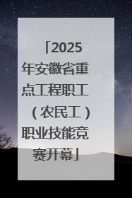 2025年安徽省重点工程职工（农民工）职业技能竞赛开幕