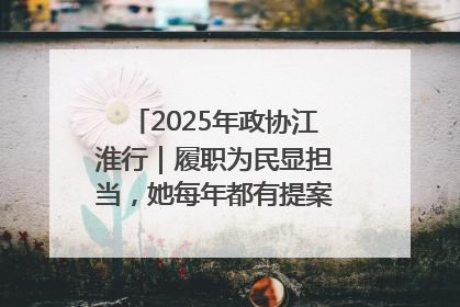 2025年政协江淮行｜履职为民显担当，她每年都有提案被评为“优秀”