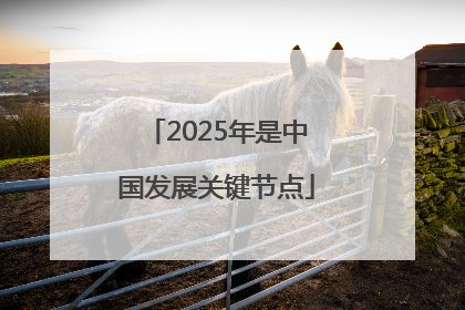 2025年是中国发展关键节点