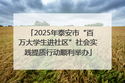2025年泰安市“百万大学生进社区”社会实践提质行动顺利举办