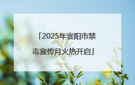 2025年襄阳市禁毒宣传月火热开启