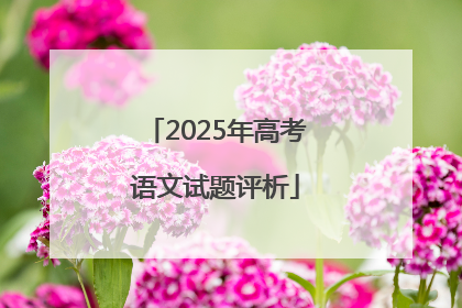 2025年高考语文试题评析