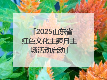 2025山东省红色文化主题月主场活动启动