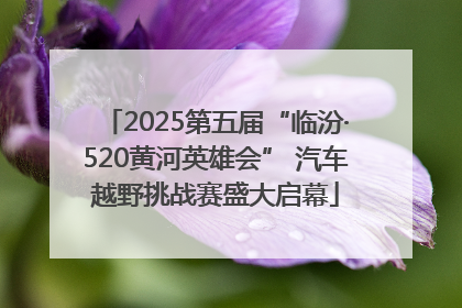 2025第五届“临汾·520黄河英雄会” 汽车越野挑战赛盛大启幕