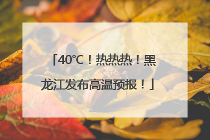 40℃！热热热！黑龙江发布高温预报！
