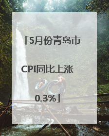 5月份青岛市CPI同比上涨0.3%