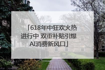 618年中狂欢火热进行中 双重补贴引爆AI消费新风口