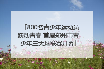 800名青少年运动员跃动青春 首届郑州市青少年三大球联赛开幕