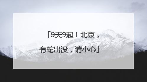 9天9起！北京，有蛇出没，请小心