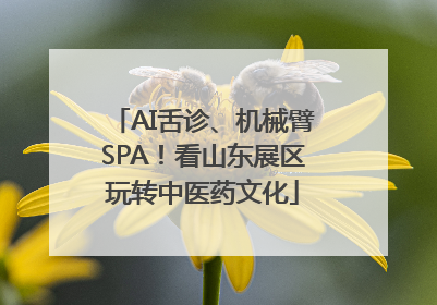 AI舌诊、机械臂SPA！看山东展区玩转中医药文化