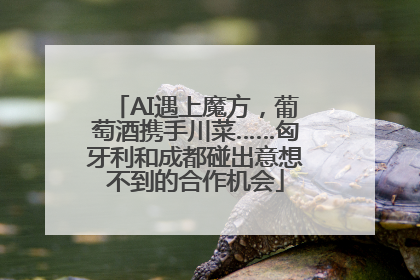 AI遇上魔方，葡萄酒携手川菜……匈牙利和成都碰出意想不到的合作机会