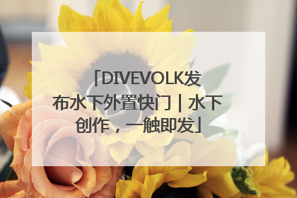 DIVEVOLK发布水下外置快门｜水下创作，一触即发