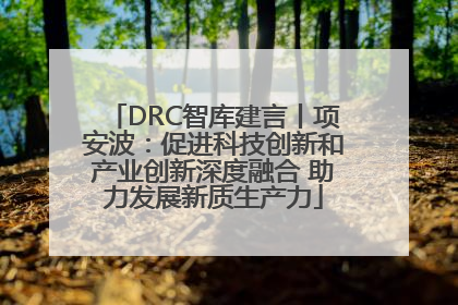DRC智库建言丨项安波：促进科技创新和产业创新深度融合 助力发展新质生产力