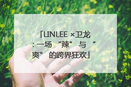 LINLEE ×卫龙：一场 “辣” 与 “爽” 的跨界狂欢