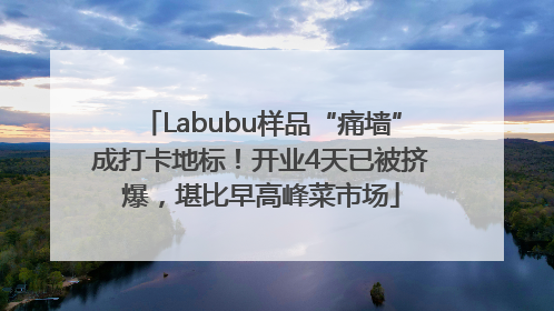 Labubu样品“痛墙”成打卡地标！开业4天已被挤爆，堪比早高峰菜市场