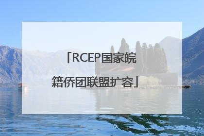 RCEP国家皖籍侨团联盟扩容