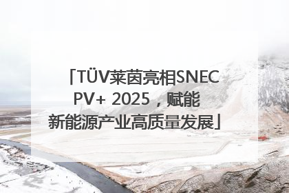 TÜV莱茵亮相SNEC PV+ 2025，赋能新能源产业高质量发展