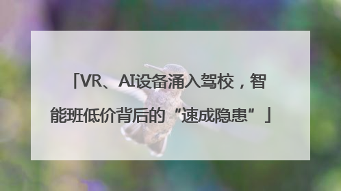 VR、AI设备涌入驾校，智能班低价背后的“速成隐患”